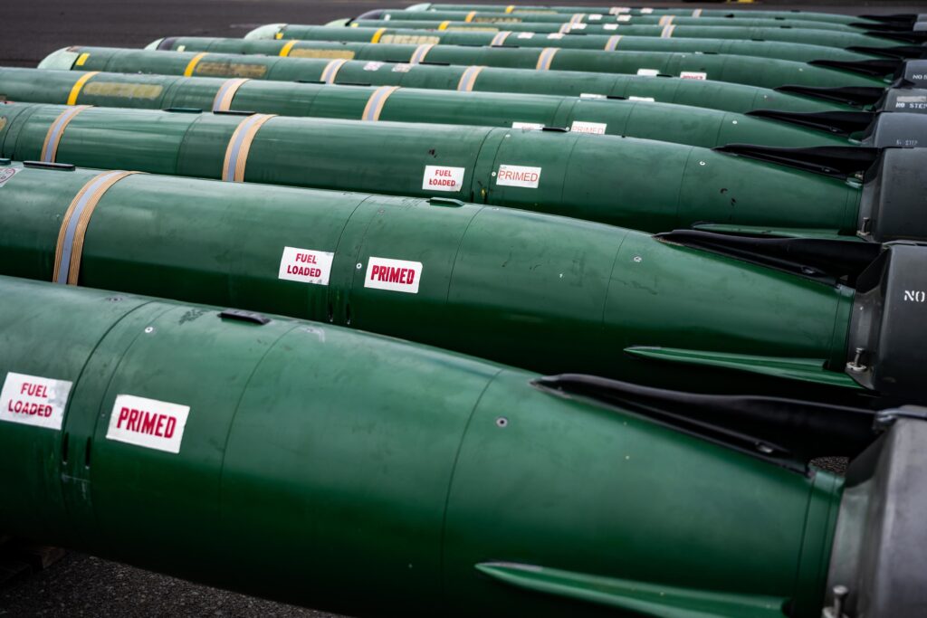 Netherlands to buy anti-torpedo weapon, tracked armor, new rifle